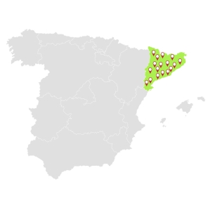 Mapa de España con la costa este resaltada en verde y marcadores de ubicación.